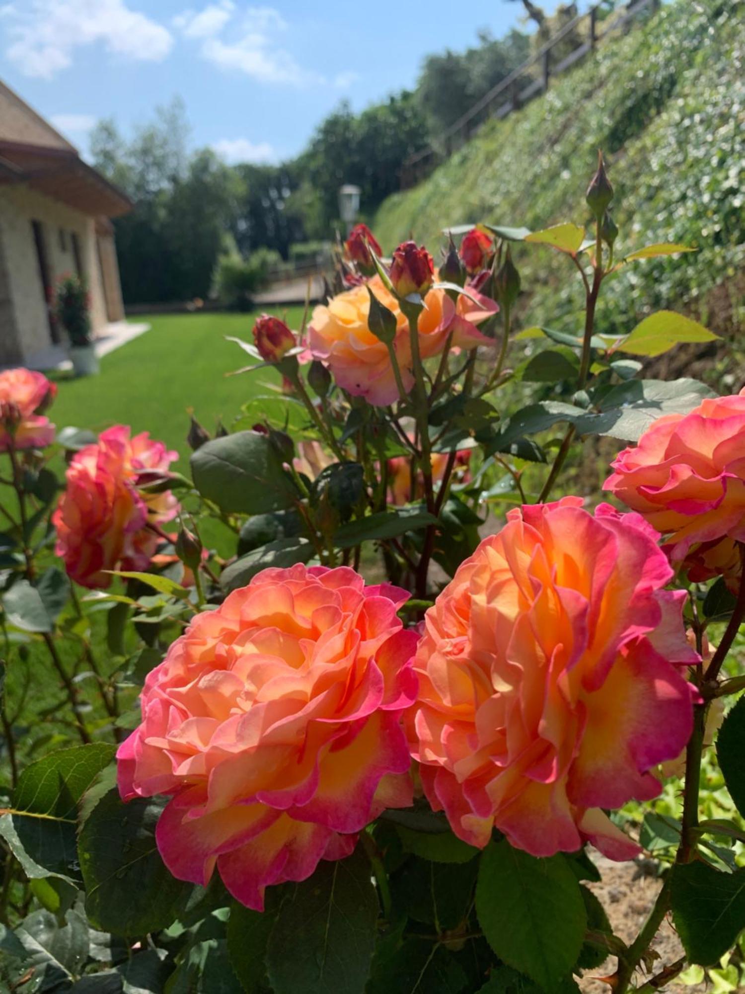 B&B Casalfarano Cupra Marittima Zewnętrze zdjęcie
