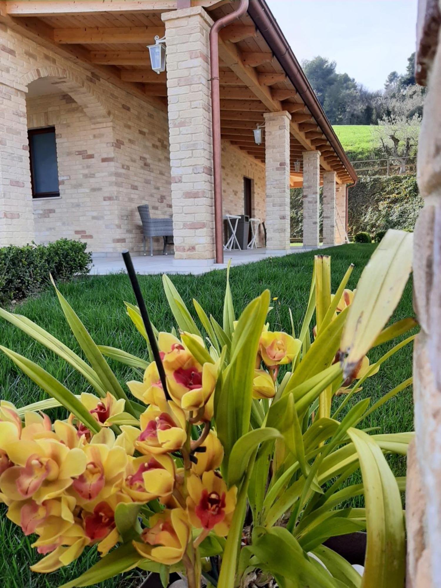 B&B Casalfarano Cupra Marittima Zewnętrze zdjęcie
