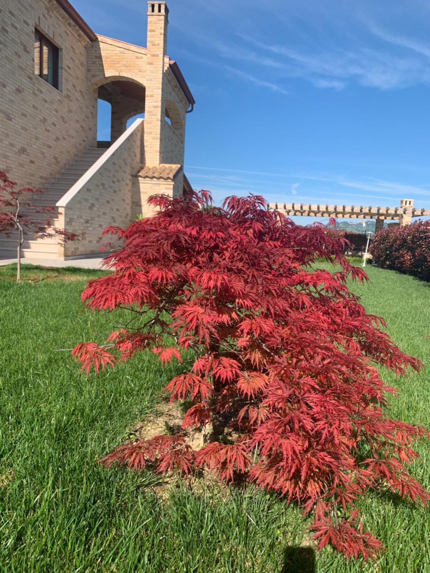 B&B Casalfarano Cupra Marittima Zewnętrze zdjęcie